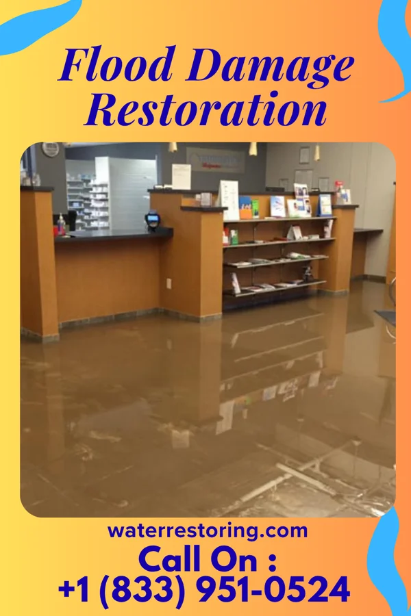 Flood Damage Restoration in Wilber, NE